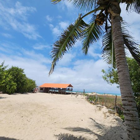 Hotel La Jungla Puerto Villamil Eksteriør bilde