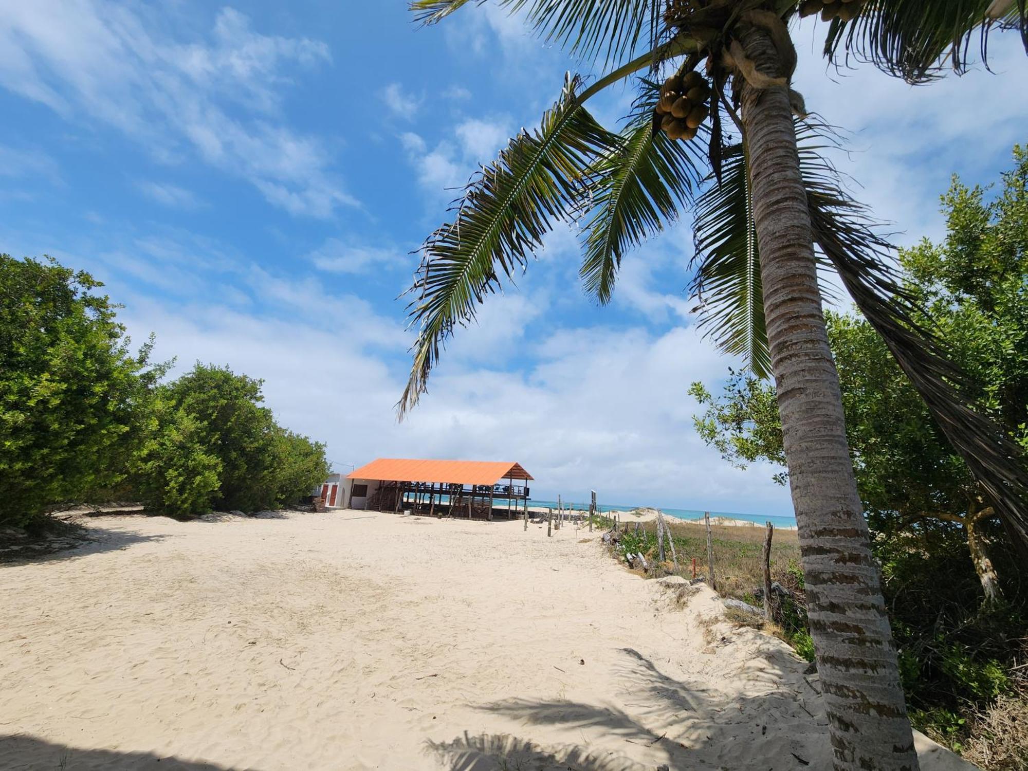 Hotel La Jungla Puerto Villamil Eksteriør bilde